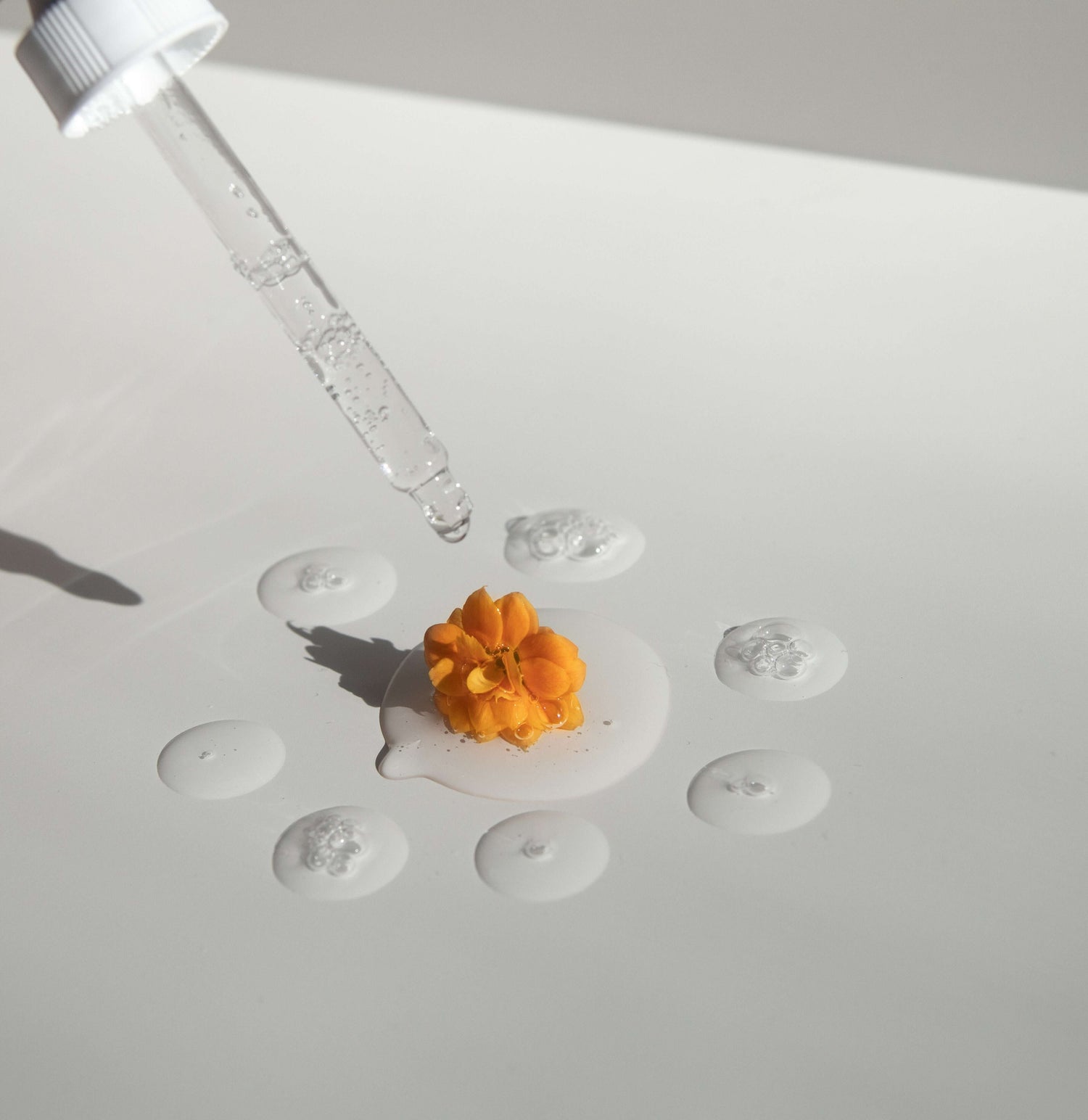Dive Into The ForChics Formula